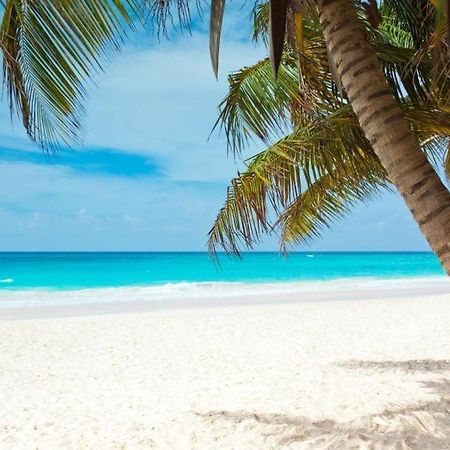 All Season Paradise In Cortez Bradenton Exteriör bild