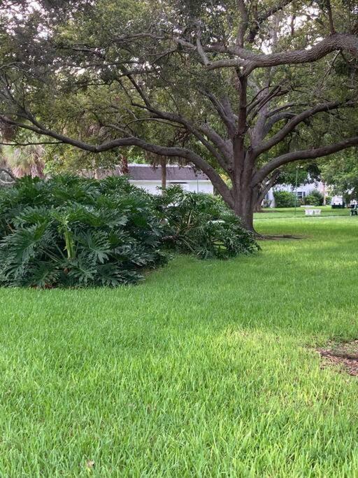 All Season Paradise In Cortez Bradenton Exteriör bild