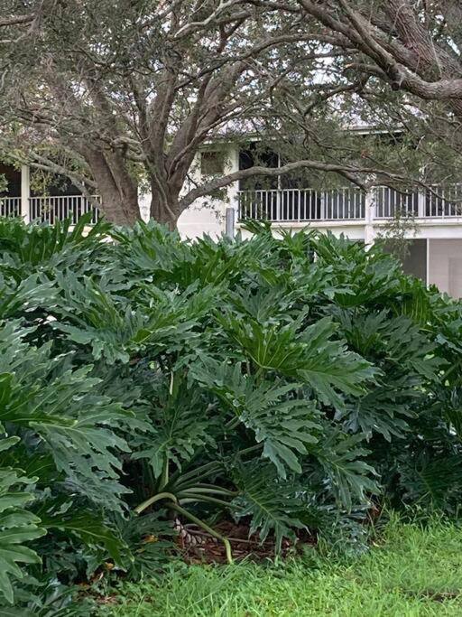 All Season Paradise In Cortez Bradenton Exteriör bild