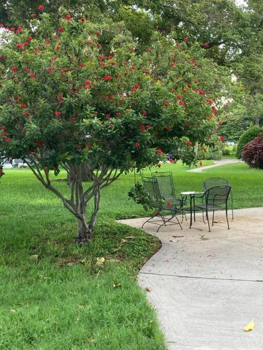 All Season Paradise In Cortez Bradenton Exteriör bild