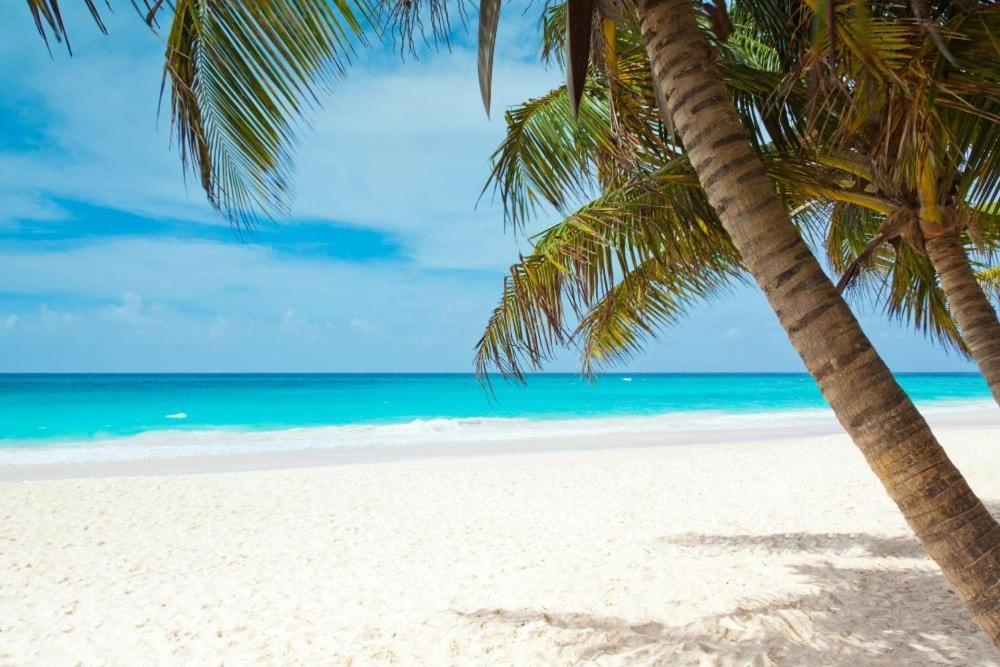All Season Paradise In Cortez Bradenton Exteriör bild